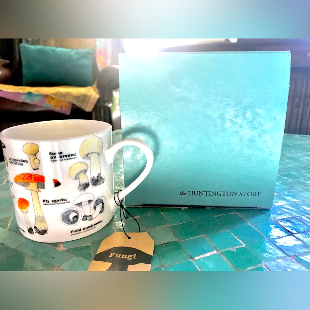 FUNGI coffee mug NWT , in box .The Huntington store, 2012 Mushroom coffee decor